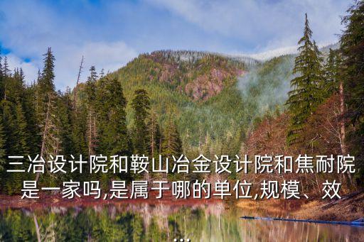 三冶設(shè)計(jì)院和鞍山冶金設(shè)計(jì)院和焦耐院是一家嗎,是屬于哪的單位,規(guī)模、效...