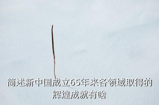 簡(jiǎn)述新中國(guó)成立65年來(lái)各領(lǐng)域取得的輝煌成就有啥