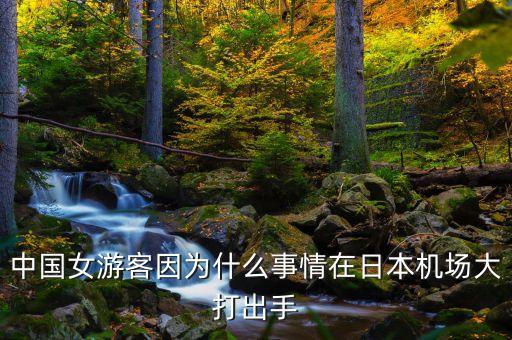 中國(guó)人的爆買