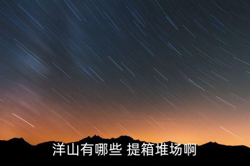 洋山有哪些 提箱堆場啊
