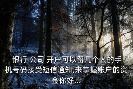  銀行 公司 開戶可以留幾個(gè)人的手機(jī)號碼接受短信通知,來掌握賬戶的資金你好...