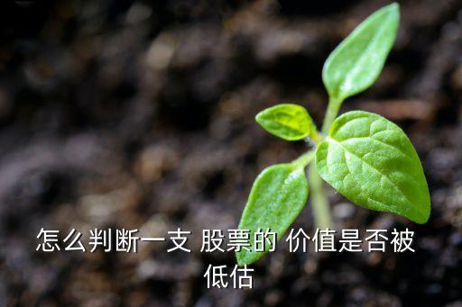 怎么判斷一支 股票的 價值是否被 低估
