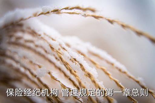 保險(xiǎn)經(jīng)紀(jì)機(jī)構(gòu) 管理規(guī)定的第一章總則