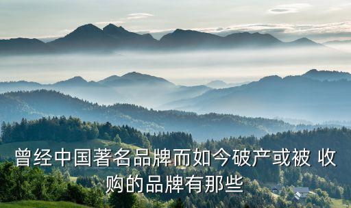 曾經(jīng)中國(guó)著名品牌而如今破產(chǎn)或被 收購的品牌有那些