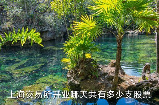 上海飛樂(lè)公司珠海樂(lè)星電子公司