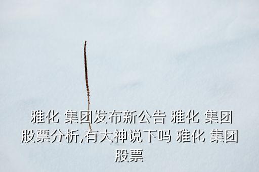  雅化 集團發(fā)布新公告 雅化 集團股票分析,有大神說下嗎 雅化 集團股票