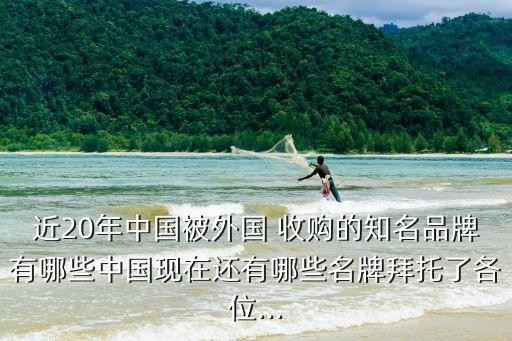 近20年中國(guó)被外國(guó) 收購的知名品牌有哪些中國(guó)現(xiàn)在還有哪些名牌拜托了各位...
