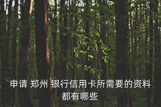 申請(qǐng) 鄭州 銀行信用卡所需要的資料都有哪些