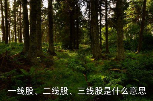  一線股、二線股、三線股是什么意思