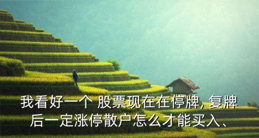 我看好一個 股票現(xiàn)在在停牌, 復牌后一定漲停散戶怎么才能買入、