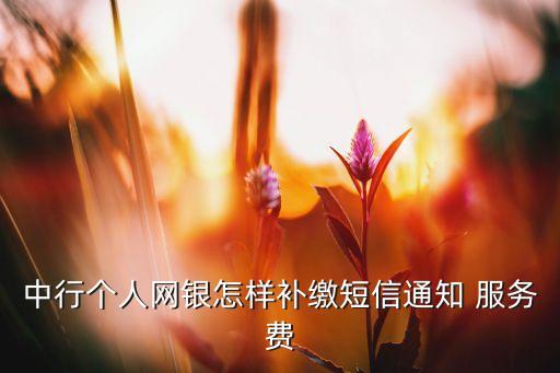 中國(guó)銀行服務(wù)費(fèi)