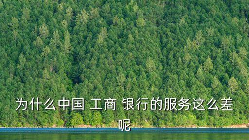 為什么中國 工商 銀行的服務(wù)這么差呢