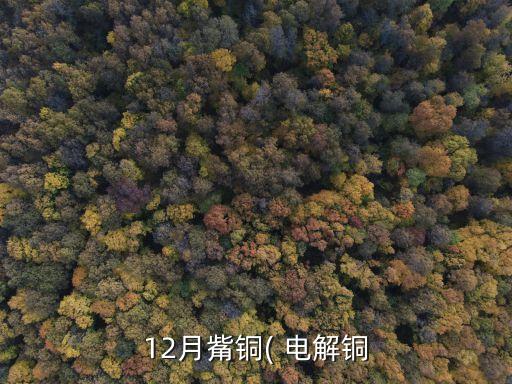 上海哪些地方賣電解銅,上海電解銅工廠有哪些