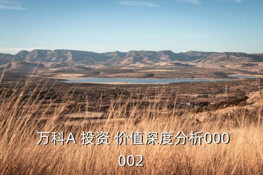  萬科A 投資 價值深度分析000002