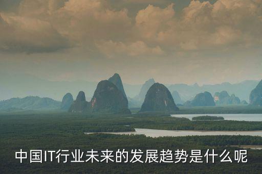中國(guó)IT行業(yè)未來(lái)的發(fā)展趨勢(shì)是什么呢