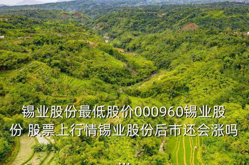 錫業(yè)股份最低股價(jià)000960錫業(yè)股份 股票上行情錫業(yè)股份后市還會漲嗎...