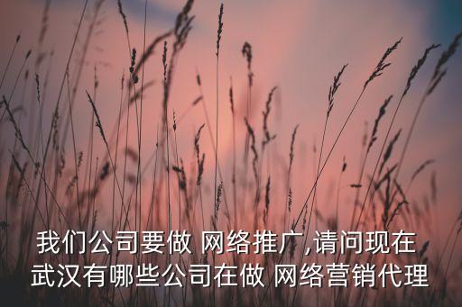 我們公司要做 網(wǎng)絡推廣,請問現(xiàn)在 武漢有哪些公司在做 網(wǎng)絡營銷代理