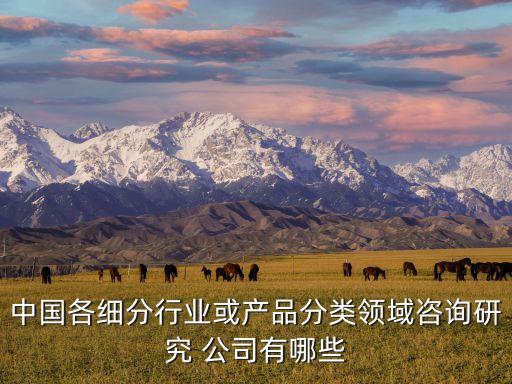 中國各細分行業(yè)或產(chǎn)品分類領域咨詢研究 公司有哪些