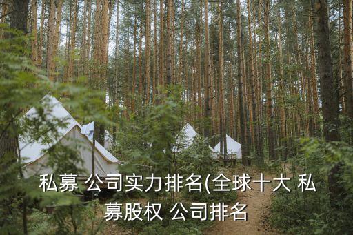  私募 公司實(shí)力排名(全球十大 私募股權(quán) 公司排名