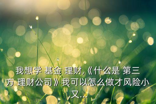 我想學(xué) 基金 理財,《什么是 第三方 理財公司》我可以怎么做才風(fēng)險小,又...
