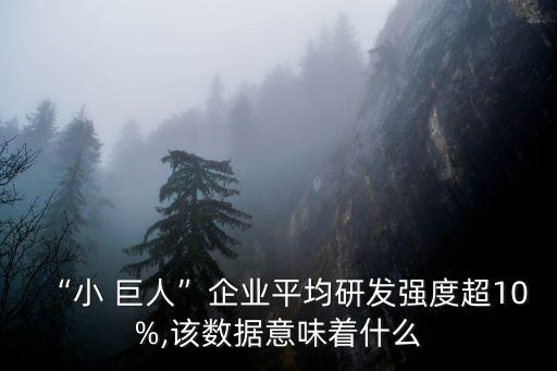 “小 巨人”企業(yè)平均研發(fā)強度超10%,該數據意味著什么