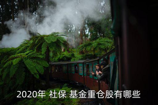社?；鸪止擅麊?2023年社保基金持股