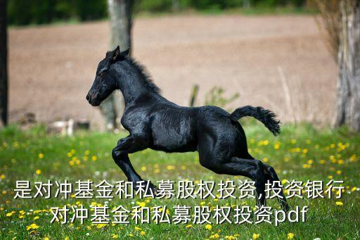 什么是對沖基金和私募股權投資,投資銀行對沖基金和私募股權投資pdf