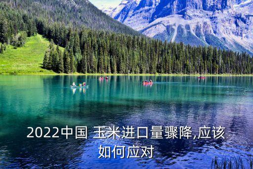 2022中國(guó) 玉米進(jìn)口量驟降,應(yīng)該如何應(yīng)對(duì)
