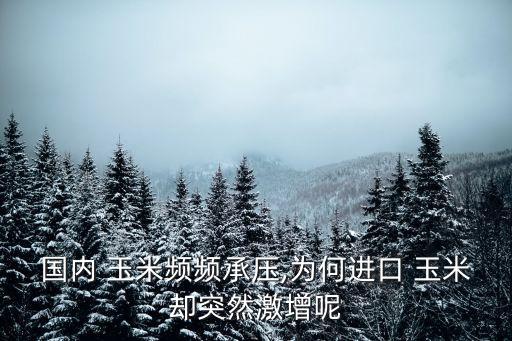 國(guó)內(nèi) 玉米頻頻承壓,為何進(jìn)口 玉米卻突然激增呢