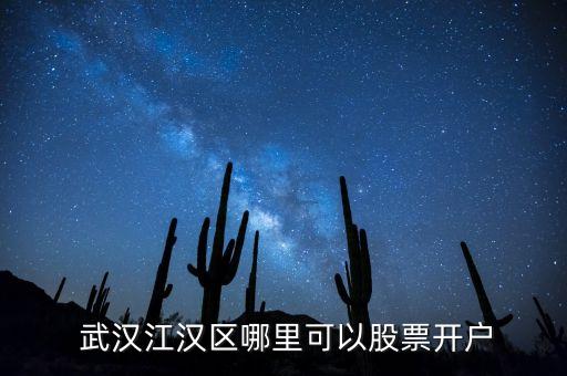  武漢江漢區(qū)哪里可以股票開(kāi)戶(hù)