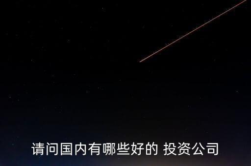 請(qǐng)問國內(nèi)有哪些好的 投資公司