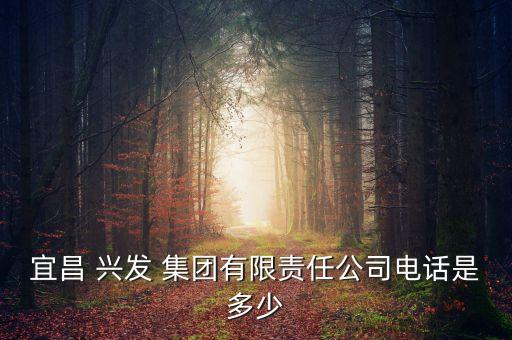 宜昌 興發(fā) 集團有限責(zé)任公司電話是多少