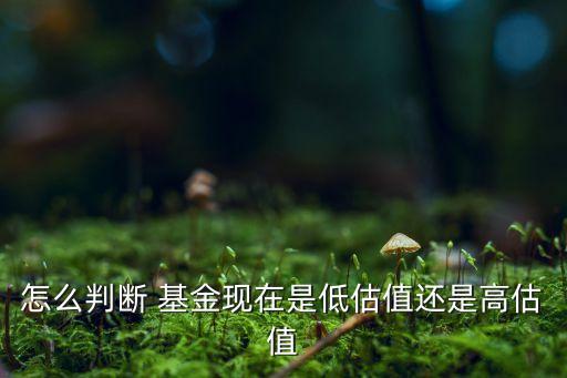 怎么判斷 基金現(xiàn)在是低估值還是高估值