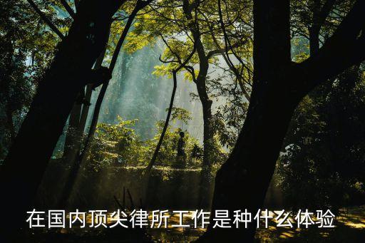 在國(guó)內(nèi)頂尖律所工作是種什么體驗(yàn)