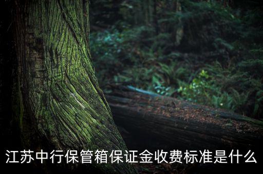 銀行網(wǎng)點保管箱使用費用
