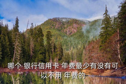 哪個(gè) 銀行信用卡 年費(fèi)最少有沒(méi)有可以不用 年費(fèi)的