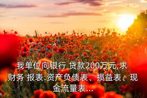 銀行貸款用帶有公式的財(cái)務(wù)報表,企業(yè)向銀行貸款財(cái)務(wù)報表怎么做