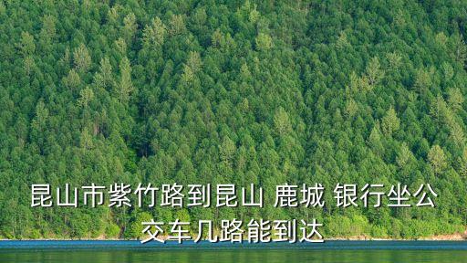 昆山市紫竹路到昆山 鹿城 銀行坐公交車(chē)幾路能到達(dá)
