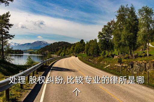 處理 股權糾紛,比較專業(yè)的律所是哪個