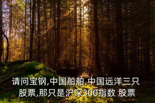 請問寶鋼,中國船舶,中國遠(yuǎn)洋三只 股票,那只是滬深300指數(shù) 股票