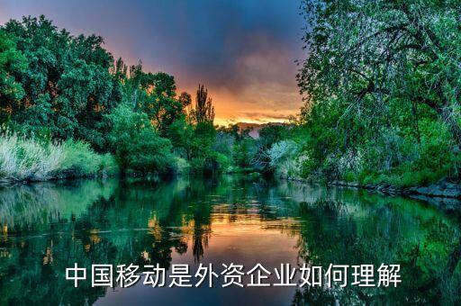  中國(guó)移動(dòng)是外資企業(yè)如何理解