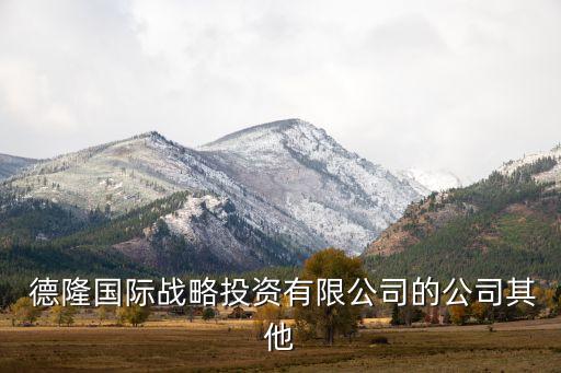 德隆國(guó)際戰(zhàn)略投資有限公司的公司其他