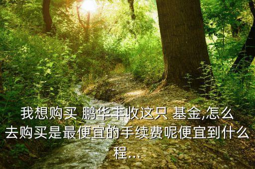 我想購(gòu)買(mǎi) 鵬華豐收這只 基金,怎么去購(gòu)買(mǎi)是最便宜的手續(xù)費(fèi)呢便宜到什么程...