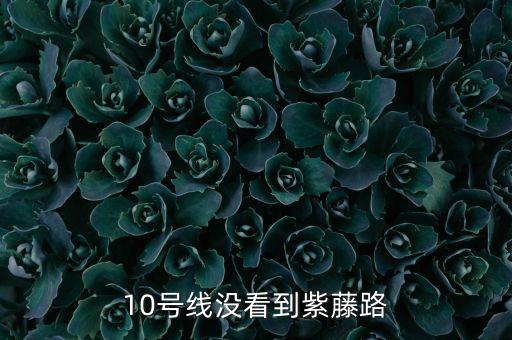 10號(hào)線沒(méi)看到紫藤路