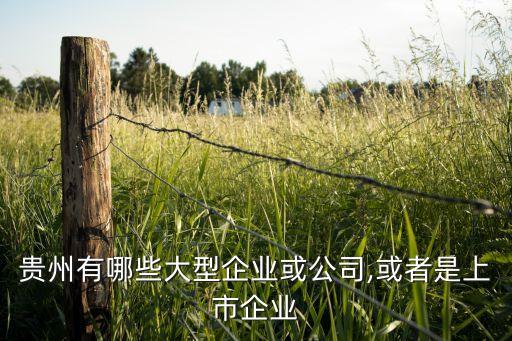 中國振華電子集團歐比通信有限公司