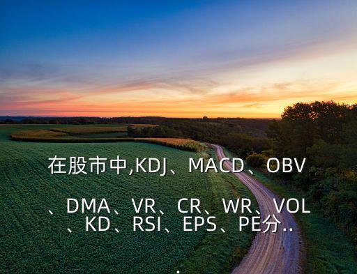 在股市中,KDJ、MACD、OBV、DMA、VR、CR、WR、VOL、KD、RSI、EPS、PE分...
