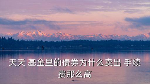天天 基金里的債券為什么賣出 手續(xù)費(fèi)那么高