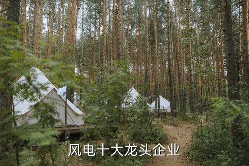 風(fēng)電十大龍頭企業(yè)