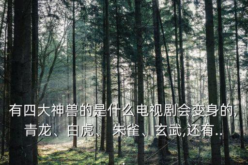 有四大神獸的是什么電視劇會(huì)變身的,青龍、白虎、 朱雀、玄武,還有...