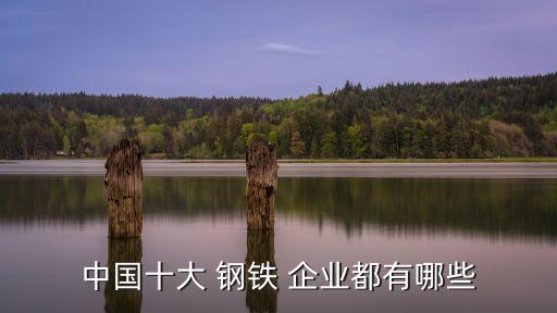 2014年中國鋼鐵企業(yè)產量排名表